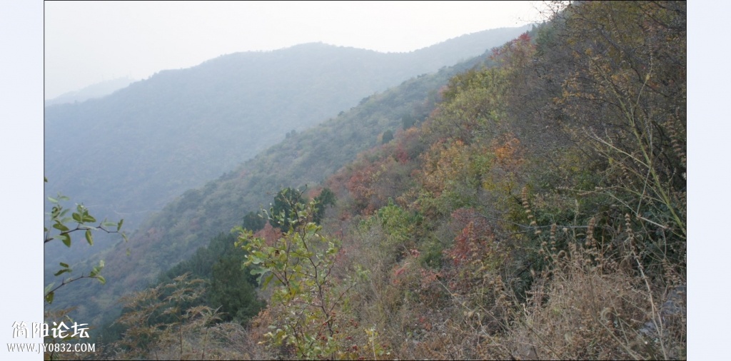 香山红叶 (36).jpg