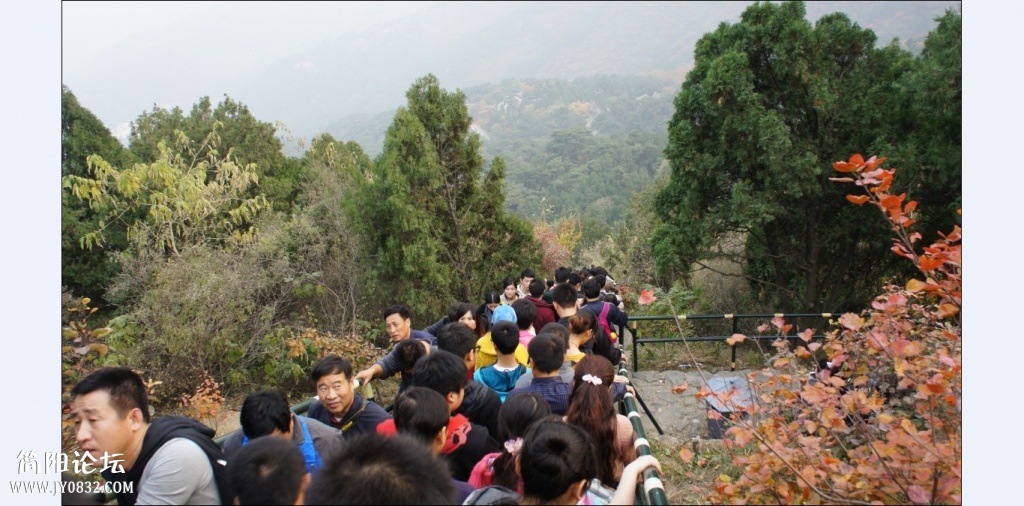香山红叶 (37).jpg