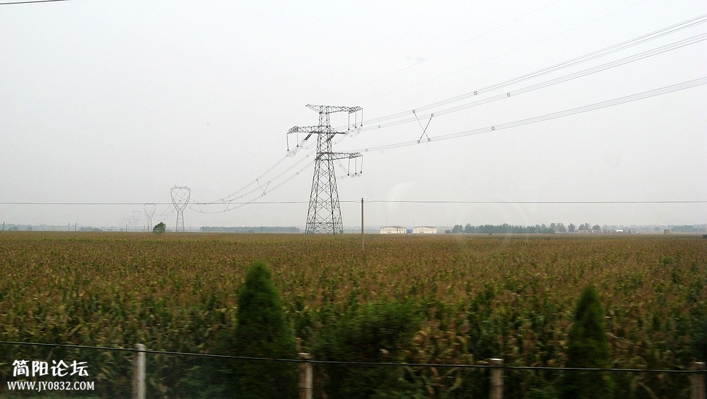 IMG_5485.jpg