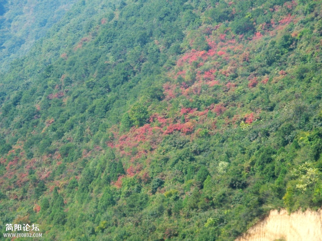 IMG_8774.JPG