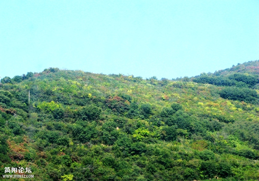 IMG_8777.JPG
