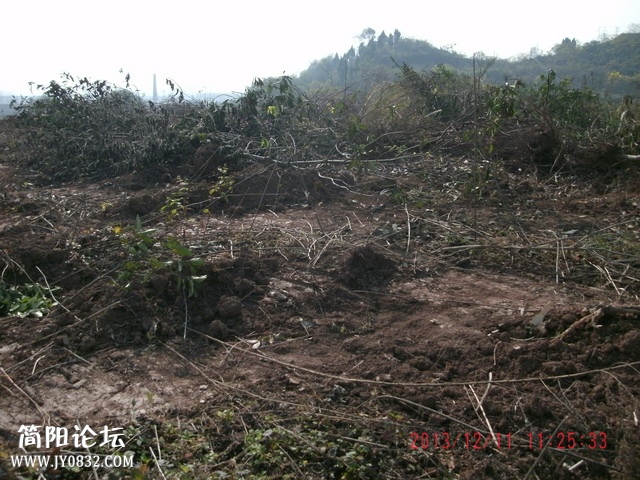 GEDC0197.jpg