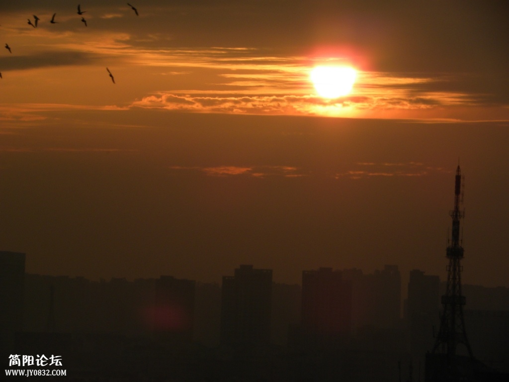 DSCN7239.jpg