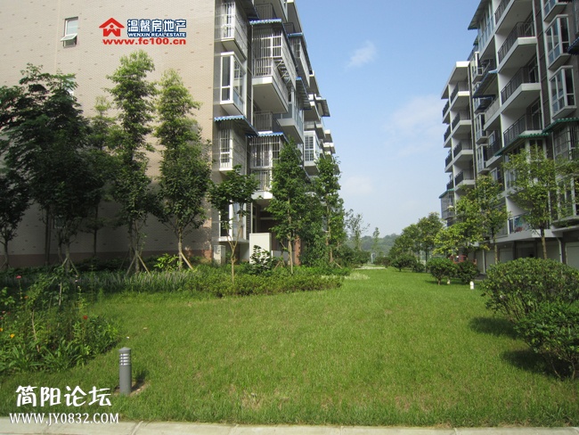20120726174614893.jpg