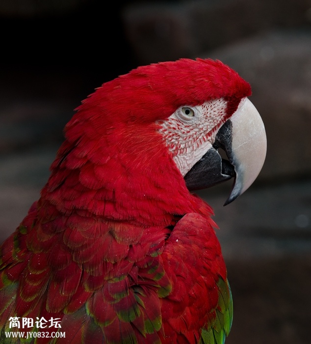 DSC_8533副本.jpg