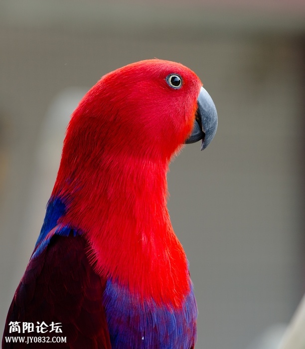 DSC_8543.jpg