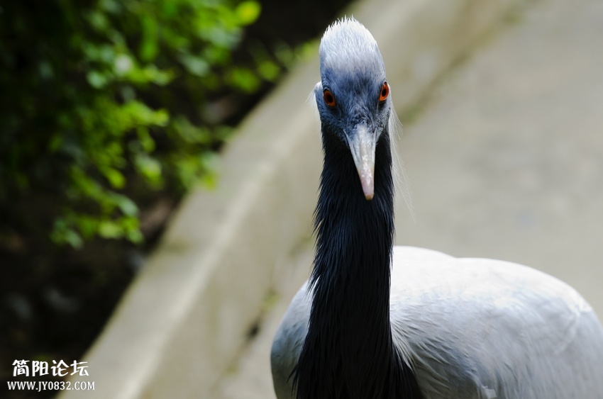DSC_8590.jpg
