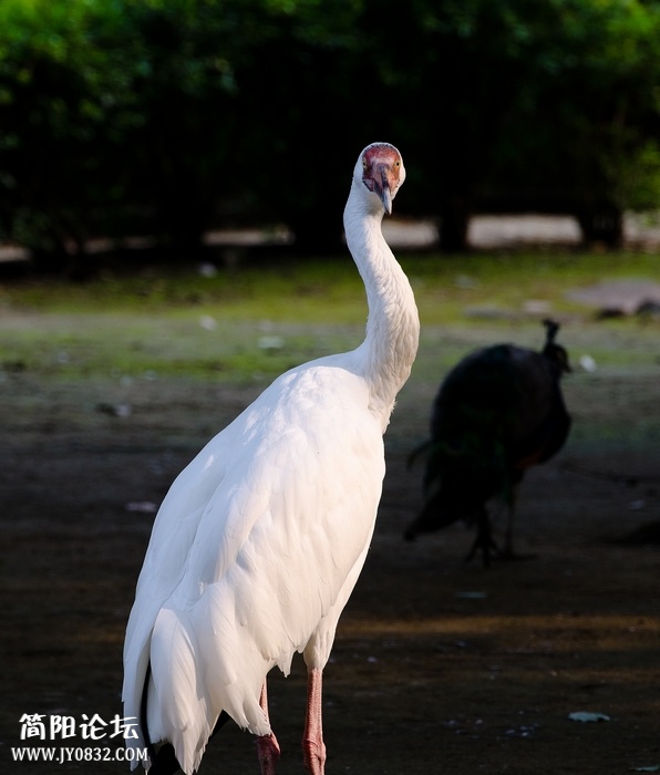 DSC_8644.jpg