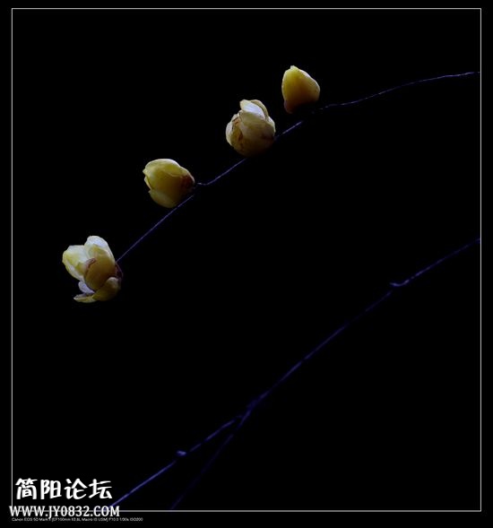 IMG_6072o.jpg