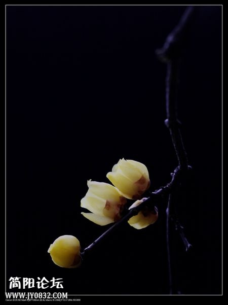 IMG_5882o.jpg