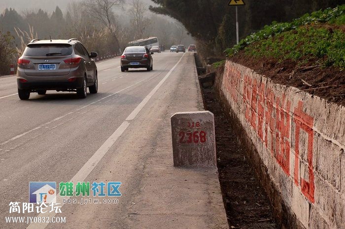 車禍11111.jpg