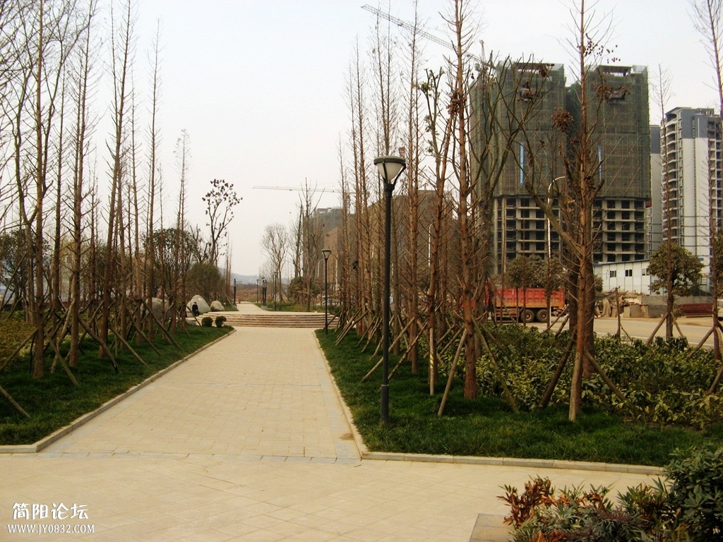 IMG_9890.JPG