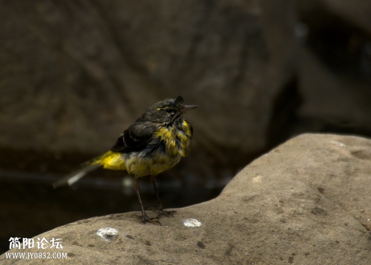 DSC_3416.jpg