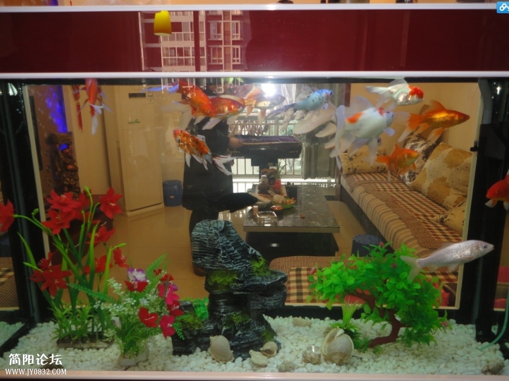 QQ图片20140121111115.jpg