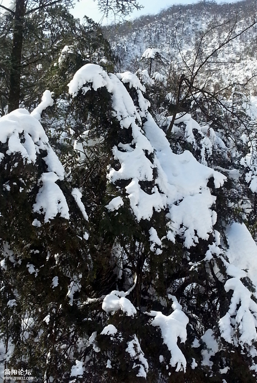 20140120_120223.jpg