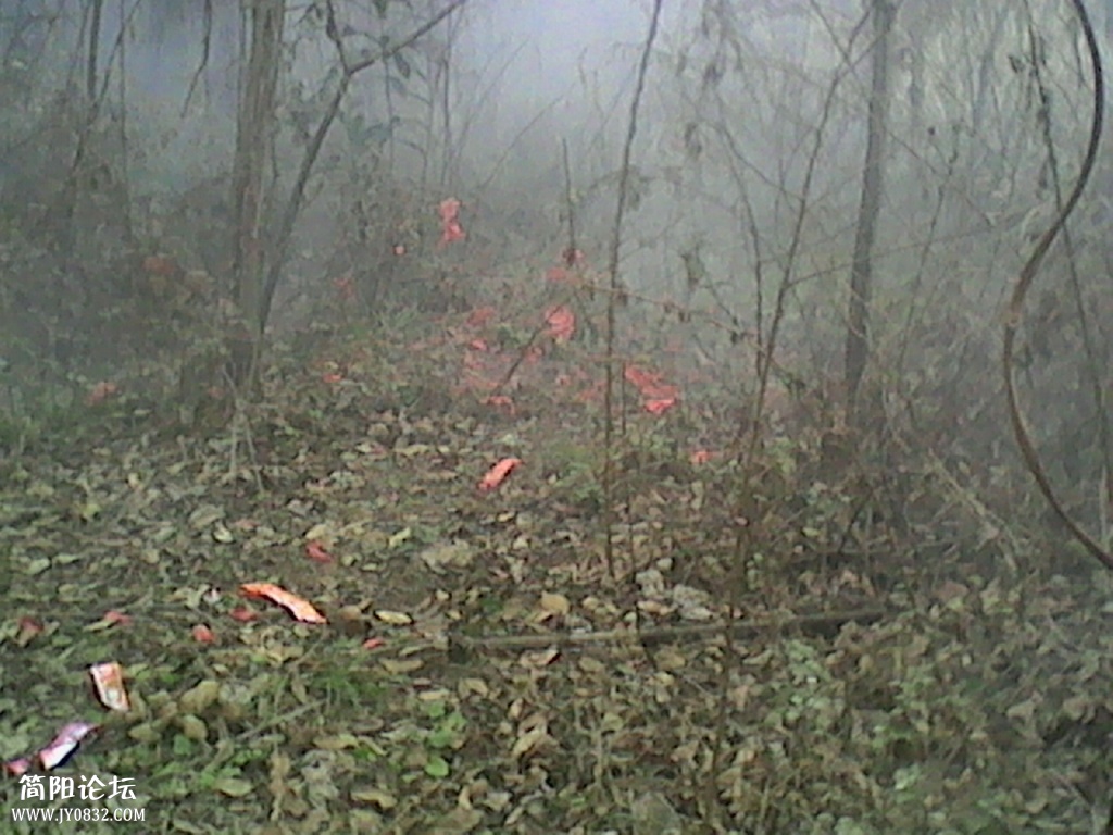 IMG_20140129_130337212.jpg