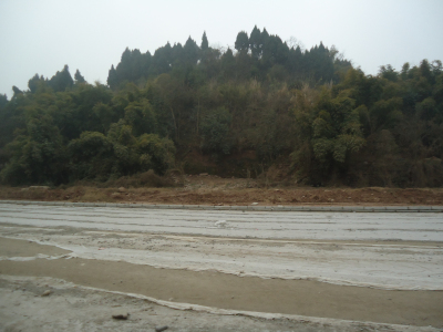DSC02266.jpg