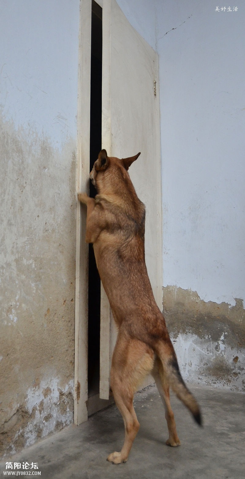 DSC_0262.JPG