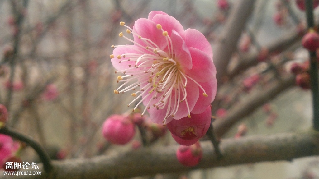 2014-02-01-3630.jpg