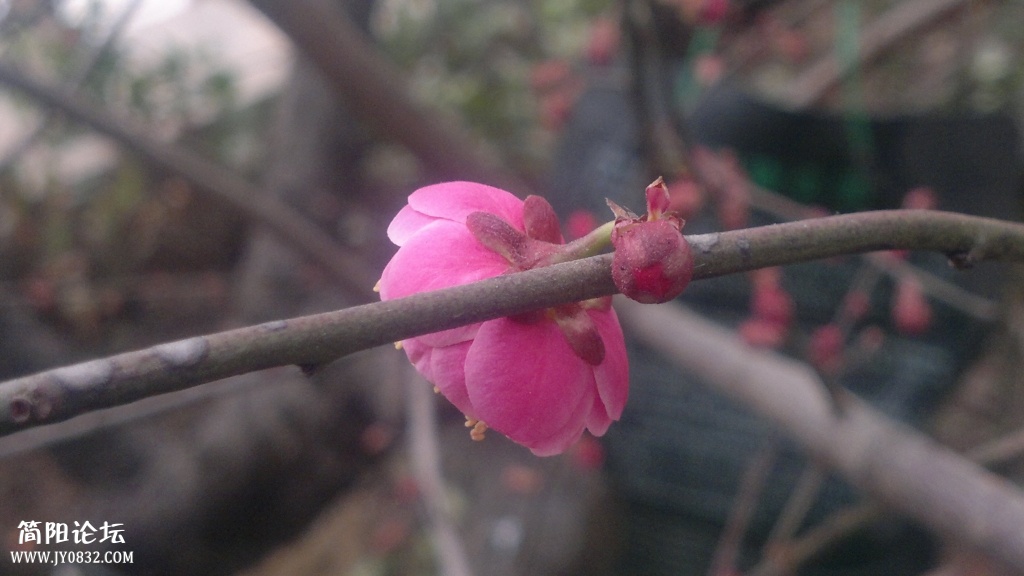 2014-02-01-3634.jpg