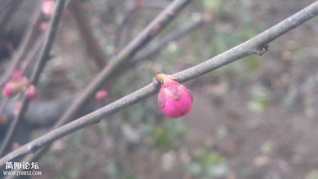 2014-02-01-3635.jpg