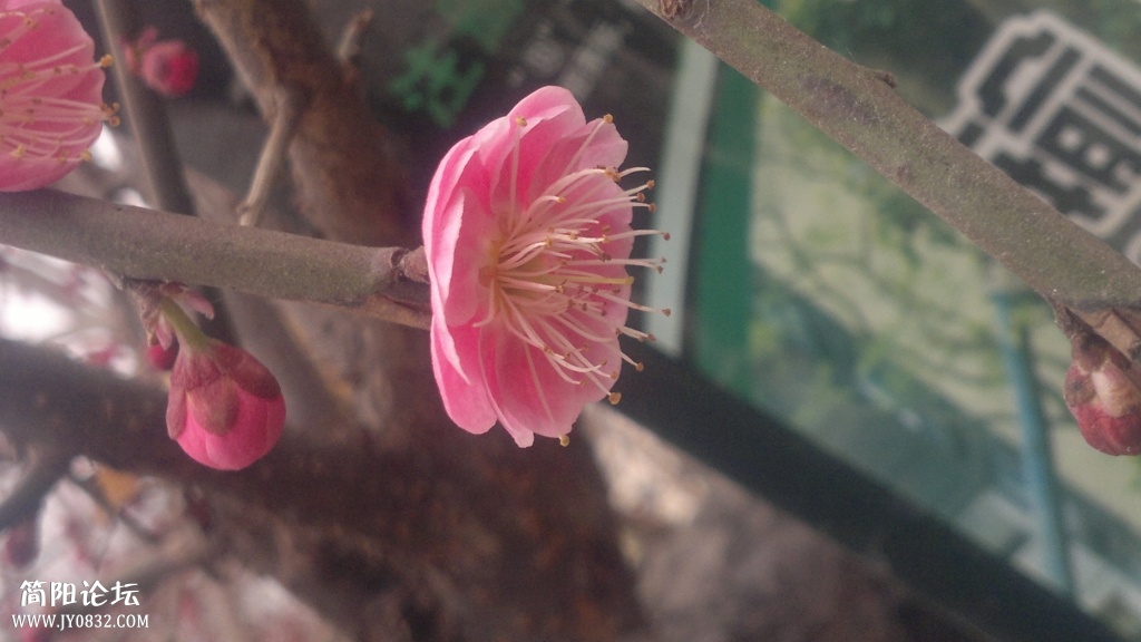 2014-02-01-3639.jpg