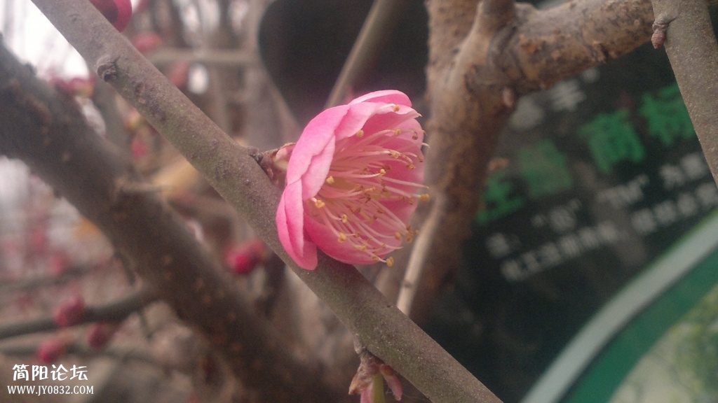 2014-02-01-3640.jpg