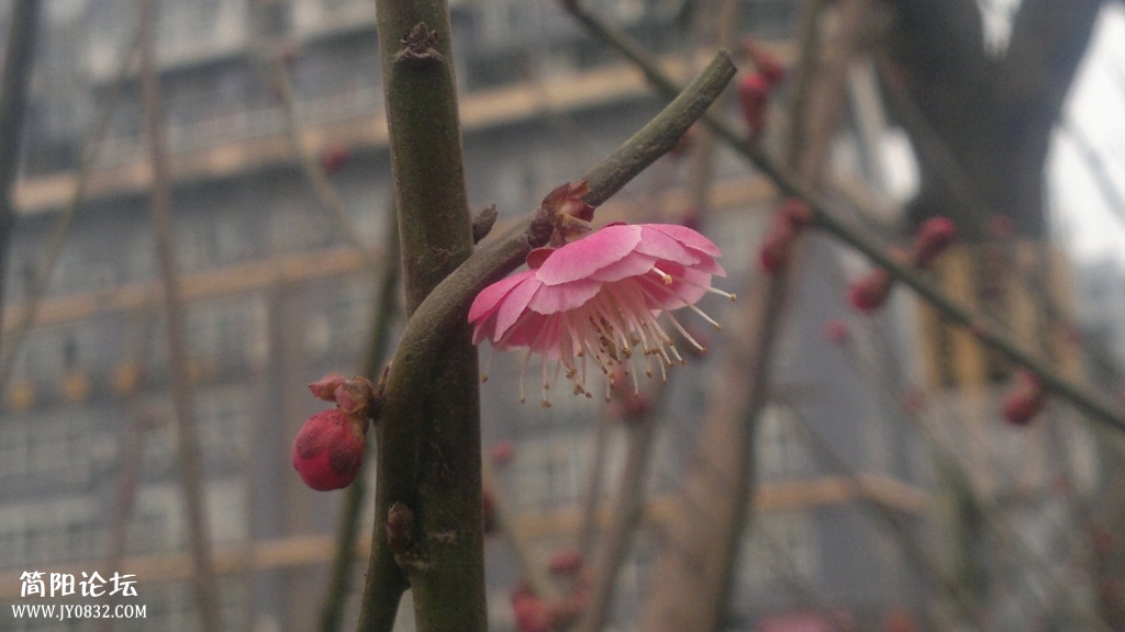 2014-02-01-3642.jpg