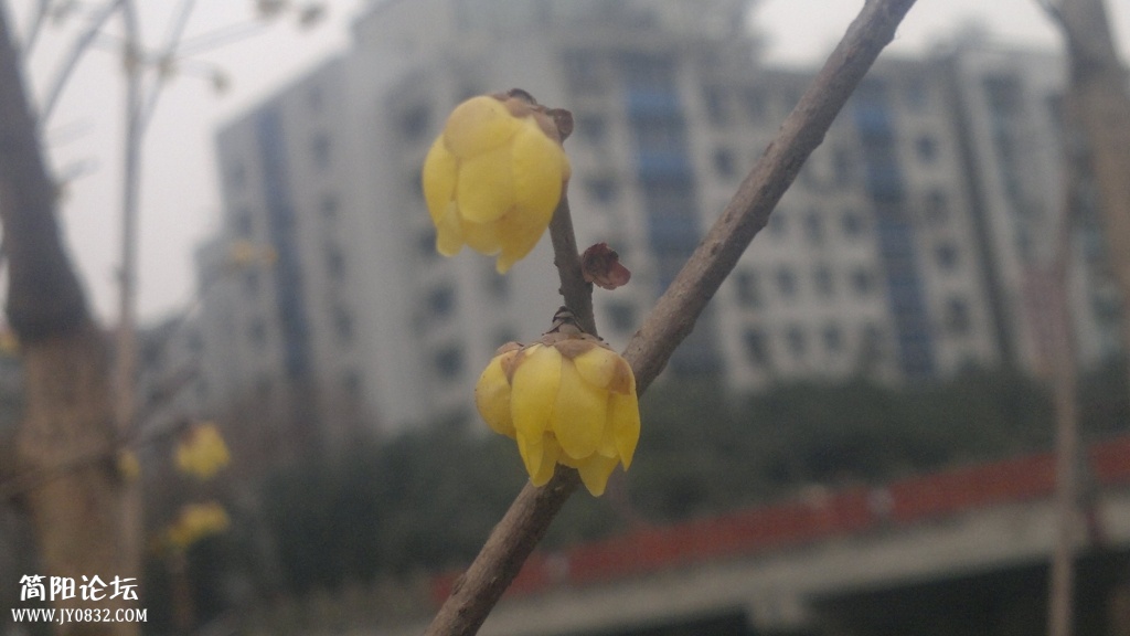 2014-02-01-3643.jpg