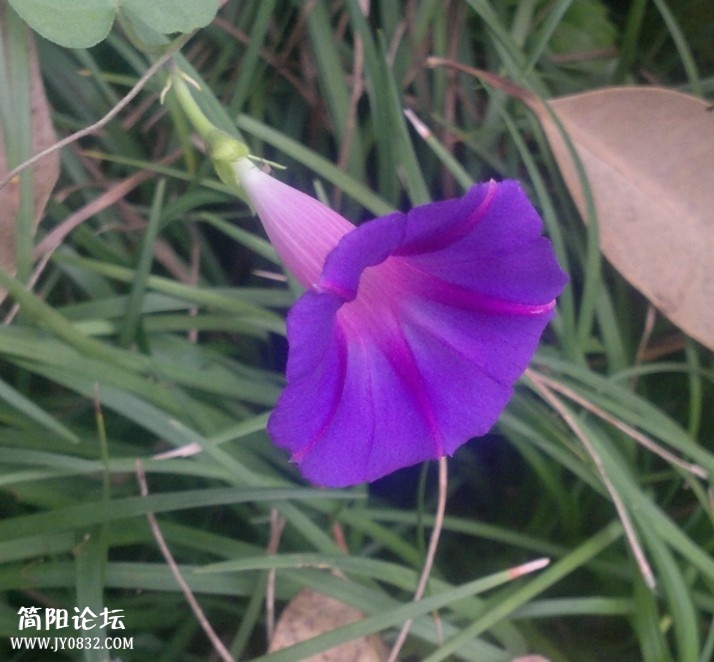 QQ图片20140212194449.jpg