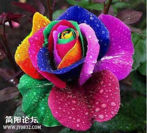 QQ图片20140213092143.jpg