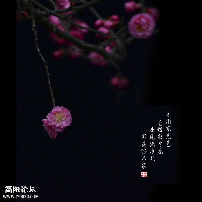 红梅颂02.jpg