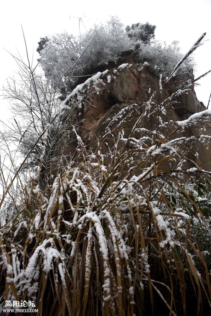 _DSC2909.jpg