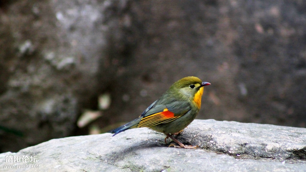 IMG_9714.JPG