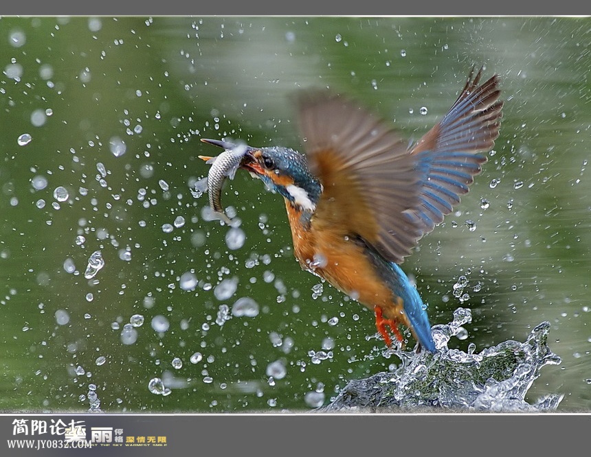 小翠求偶00.jpg