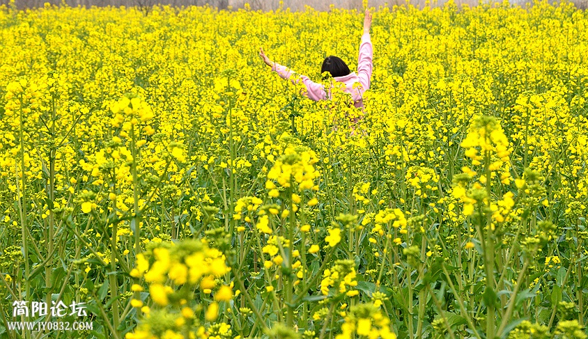 DSC_3054_副本.jpg