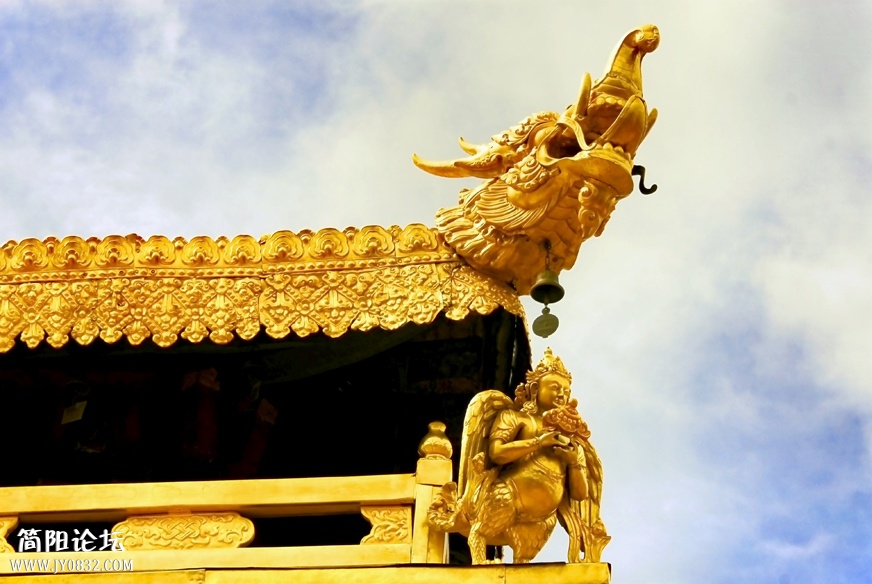 _AA30231=副本.jpg