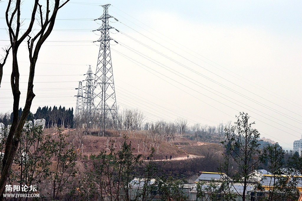 DSC_0160_副本.jpg