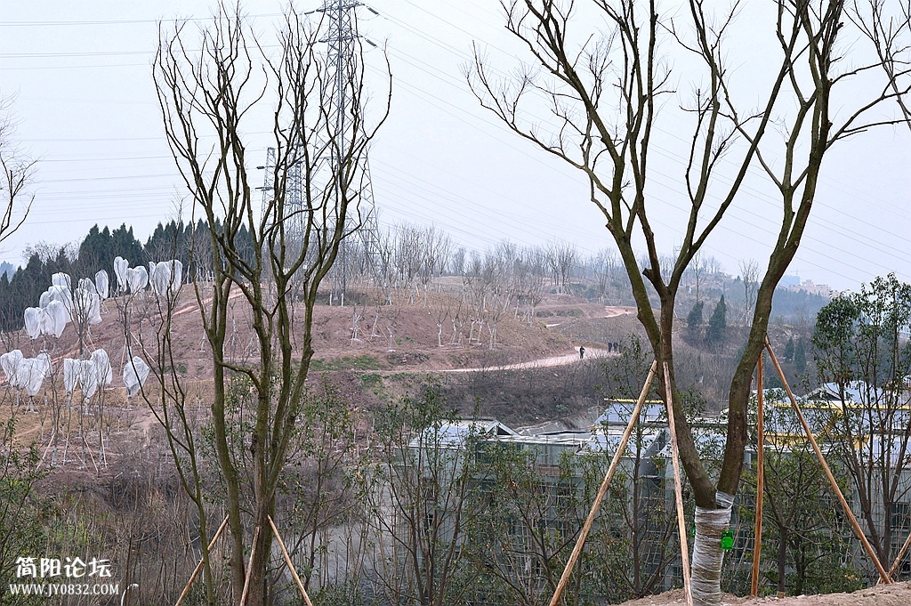DSC_0159_副本.jpg