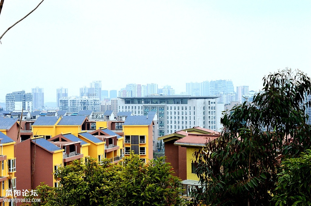 DSC_0172_副本.jpg