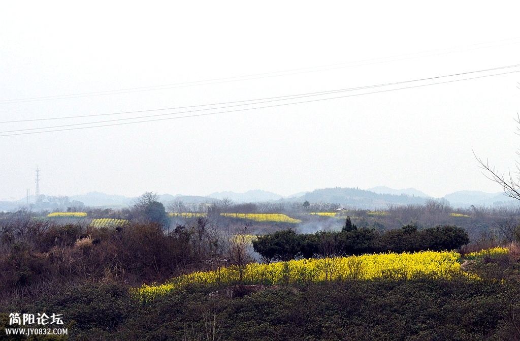 DSC_0155_副本.jpg
