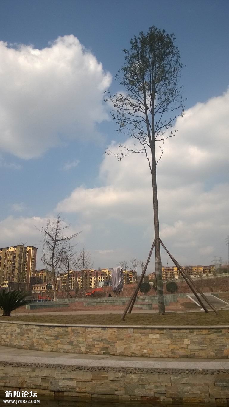 WP_20140304_006.jpg