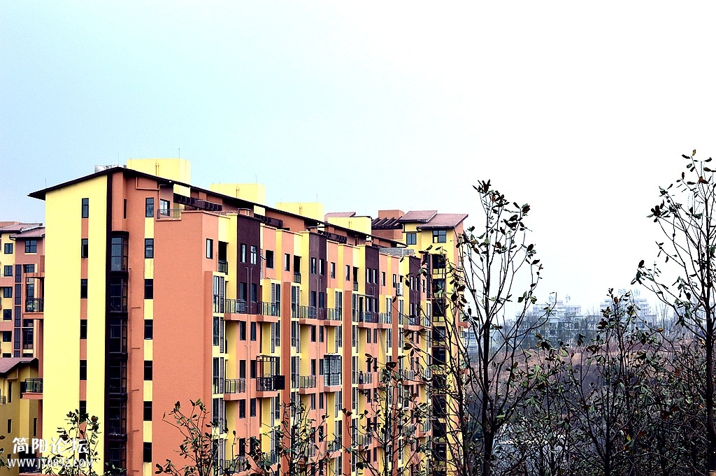 DSC_0181_副本.jpg