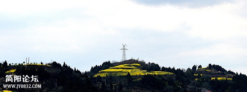 DSC_0024_副本.jpg