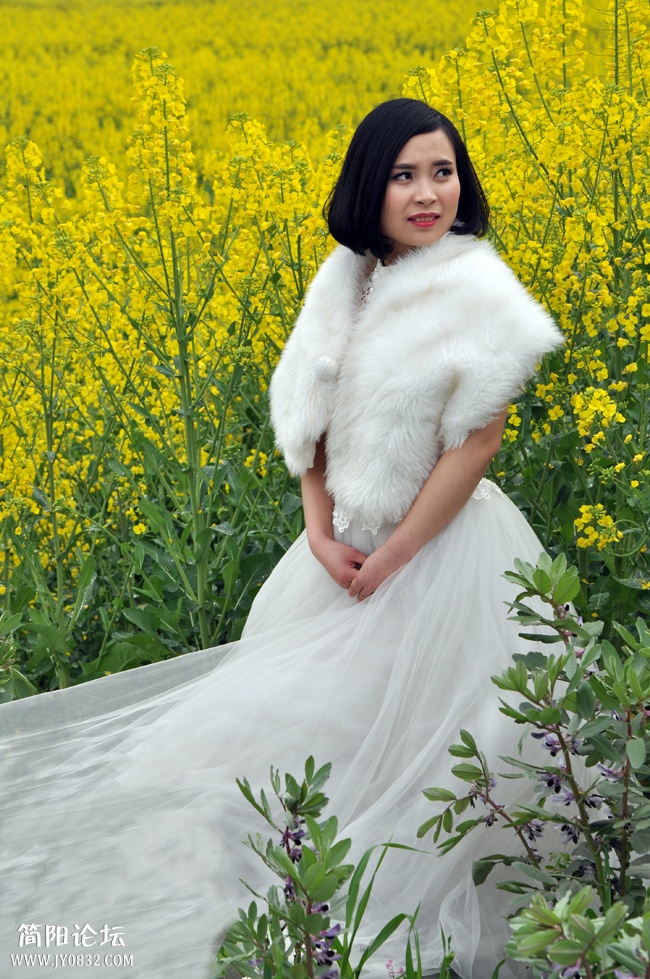 DSC_6371.jpg