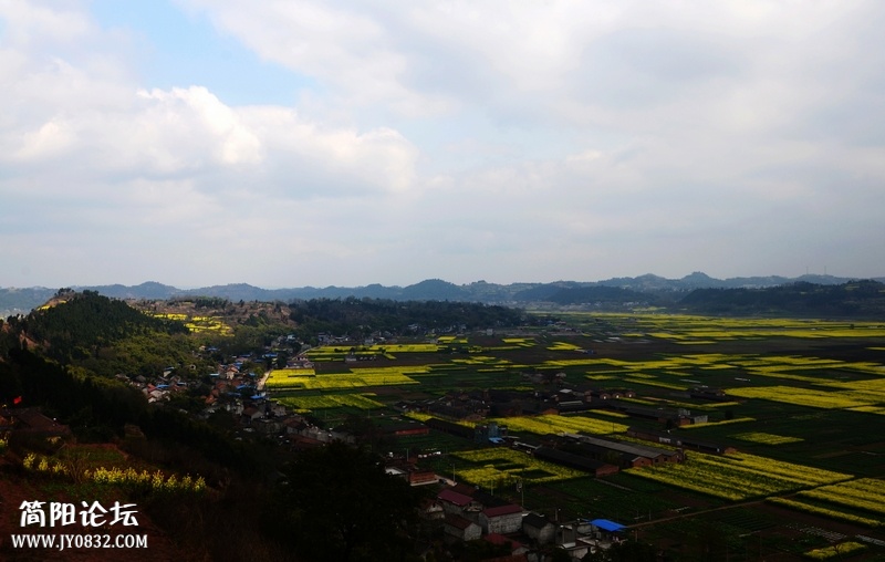 DSC_8831.jpg