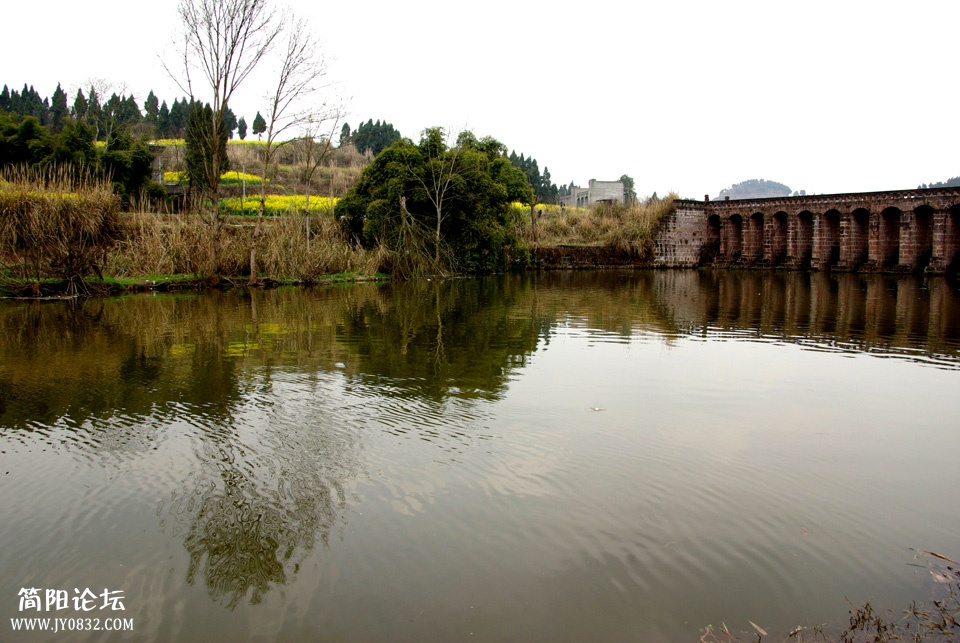 IMGP6799a.jpg