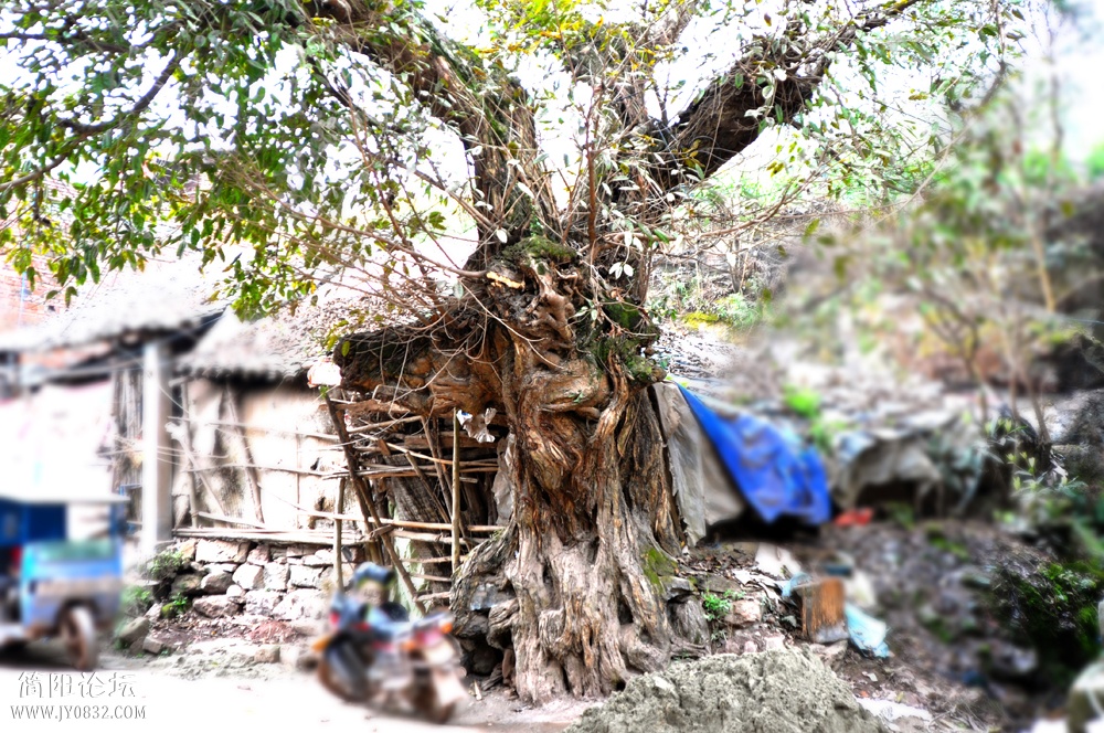 DSC_6829.jpg