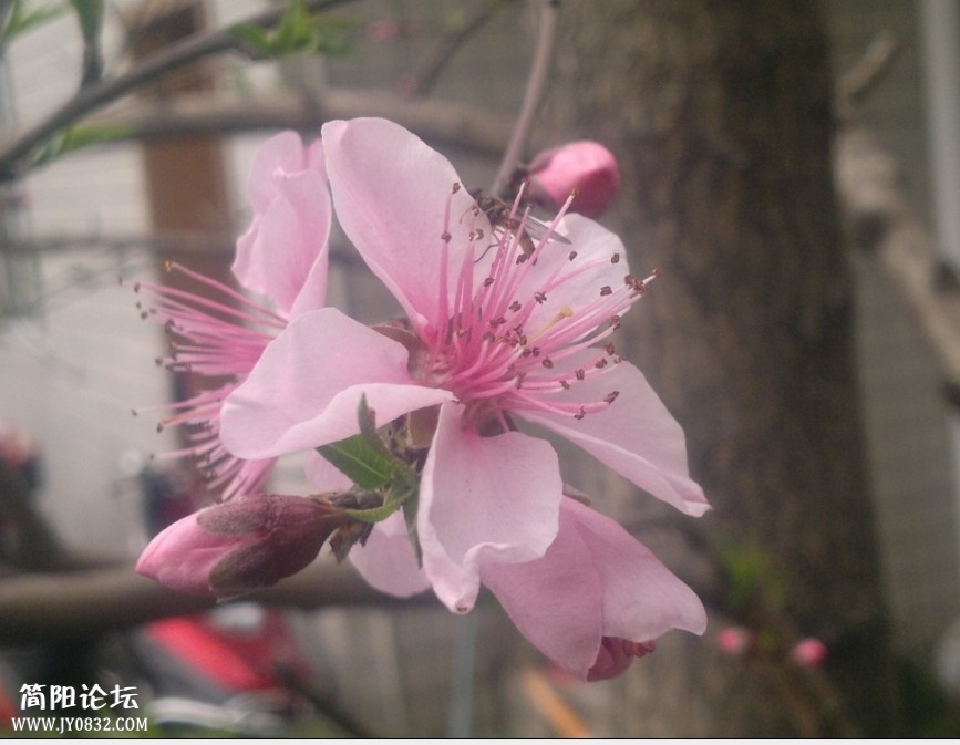 QQ图片20140314204147.jpg