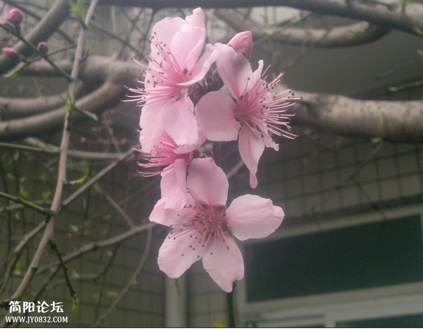 QQ图片20140314204350.jpg